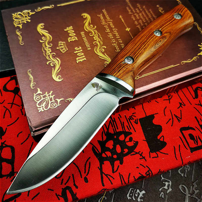 Japanese thick and integrated  - Woodworking Japan reseña y precio