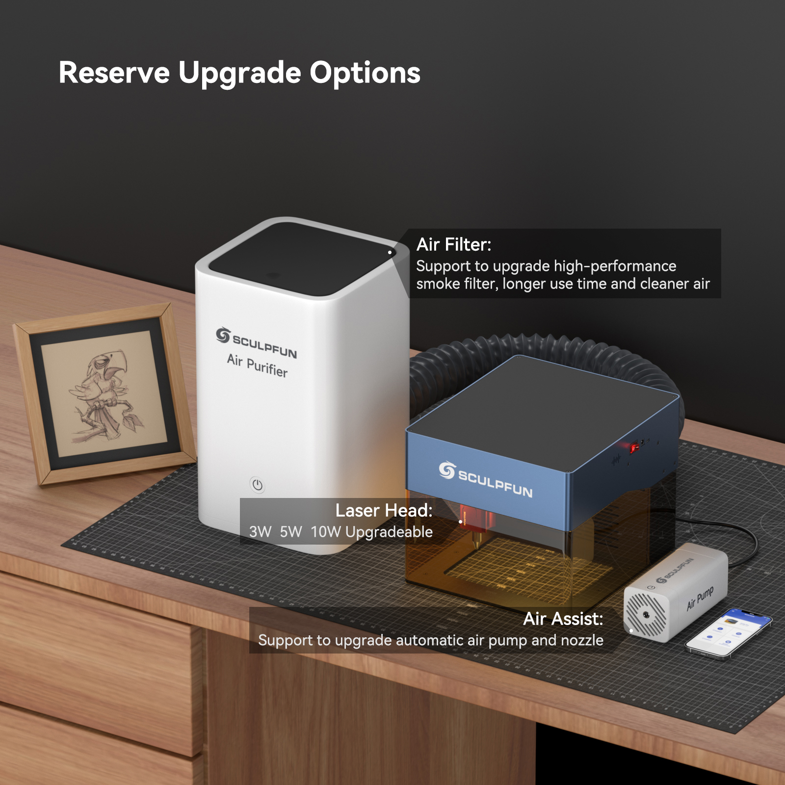 Sculpfun iCube Pro 10W Laser E - Woodworking Logos reseña y precio