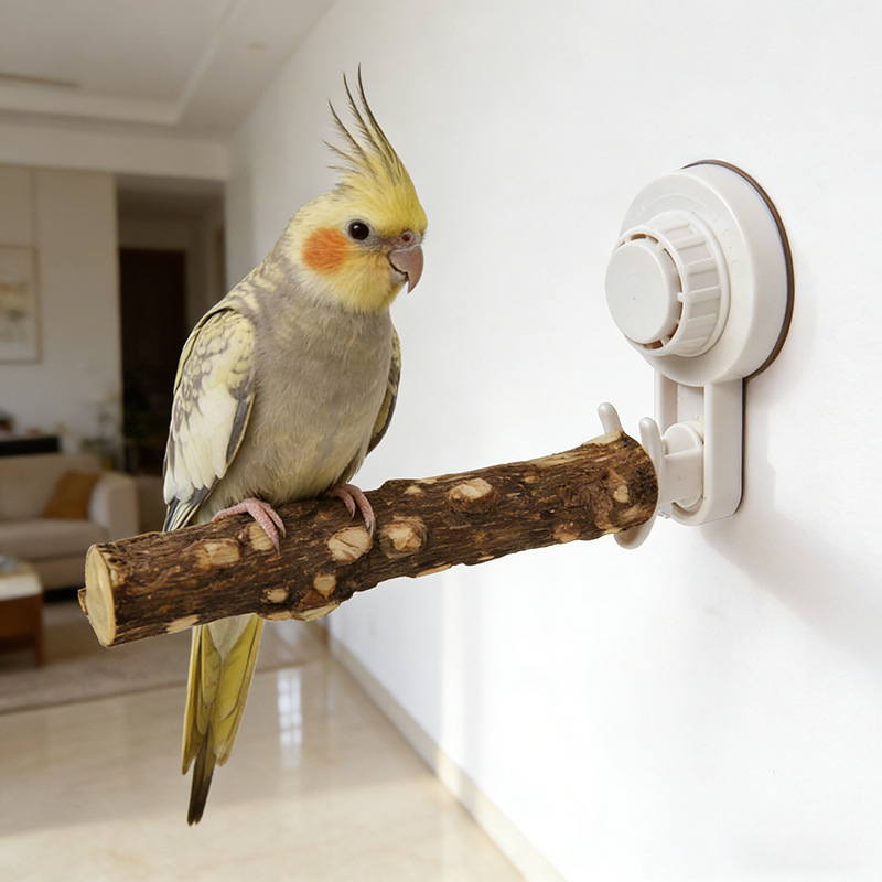 Parrot Stand with Suction Cup  - Woodworking Joint reseña y precio