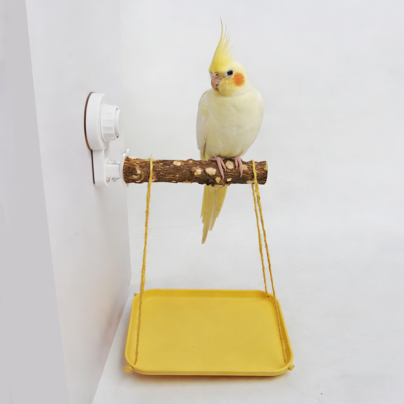 Parrot Stand with Suction Cup  - Woodworking Joint reseña y precio